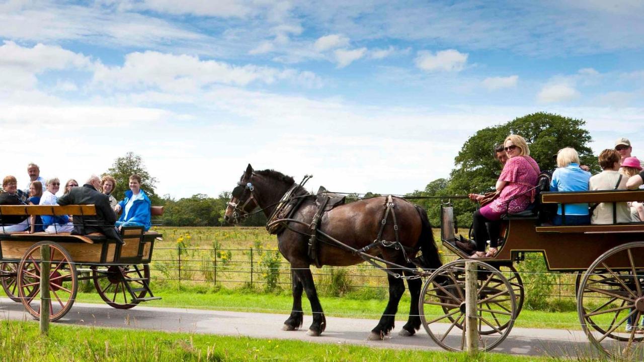 Muckross Park Hotel & Spa Killarney Ngoại thất bức ảnh Horse and cart
